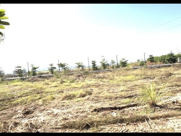 Ready to move ddjay plots