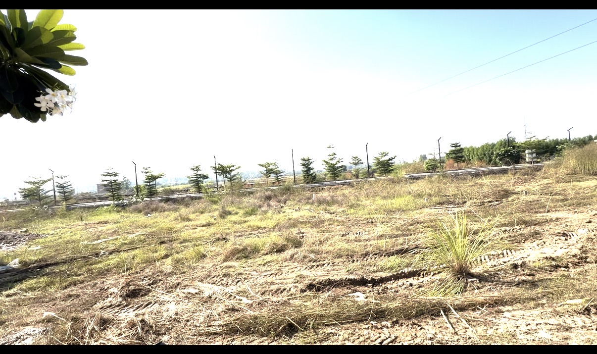 Ready to move ddjay plots